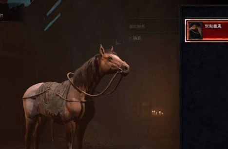 暗黑4骑马任务 暗黑4骑马任务介绍