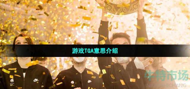 游戏tga是什么意思