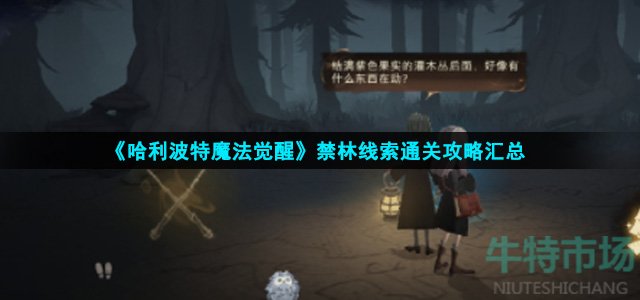 哈利波特魔法觉醒禁林怎么过