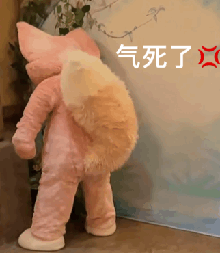 内胆是什么梗