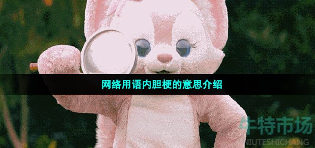 内胆是什么梗(内胆是什么意思)