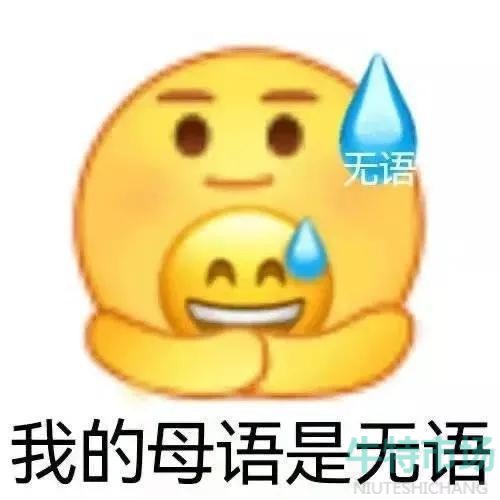 我的母语是无语表情包