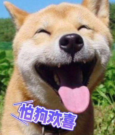 怕乌龟骑是什么梗