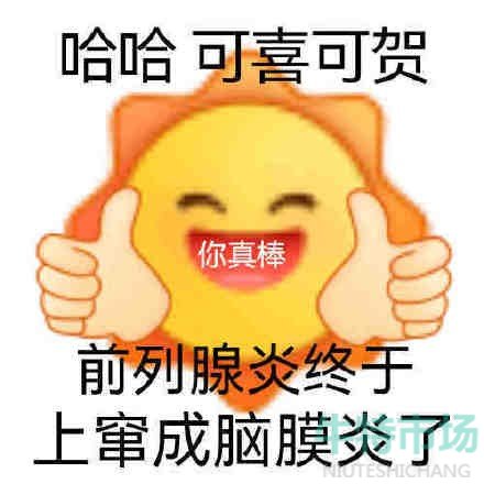 我的母语是无语表情包