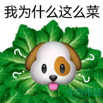 我的母语是无语表情包