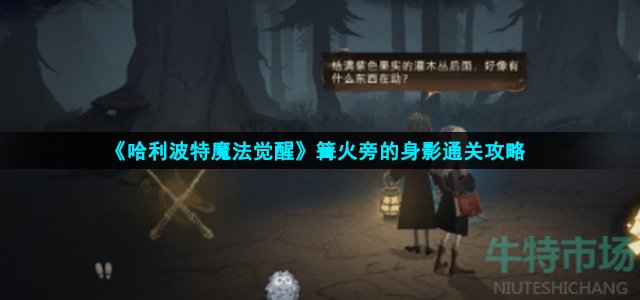 哈利波特魔法觉醒篝火旁的身影怎么过