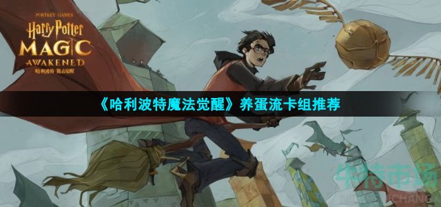 哈利波特魔法觉醒养蛋流怎么玩