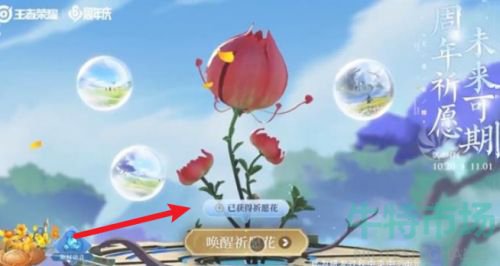 王者荣耀祈愿花怎么获得
