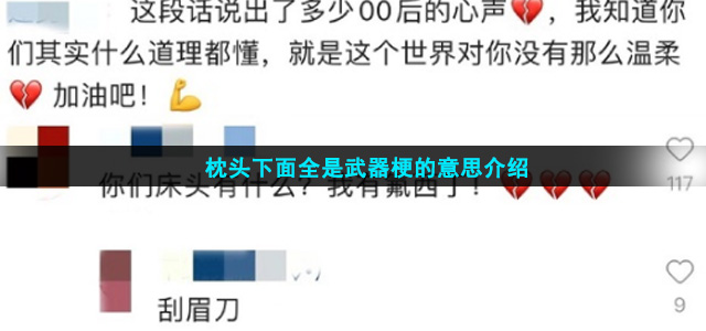 枕头下面全是武器是什么梗(枕头下面全是武器梗的意思介绍)