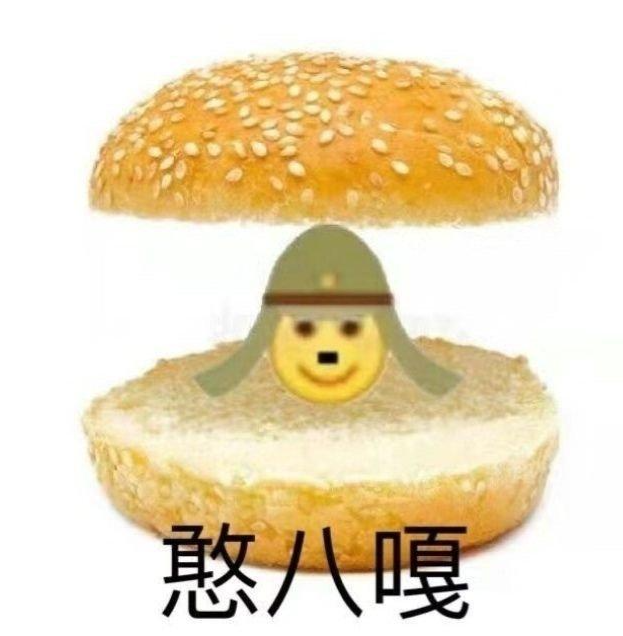西噶鸭子表情包有哪些