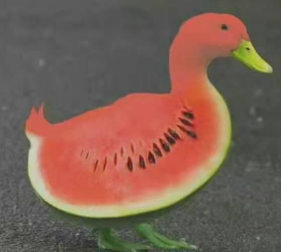 西噶鸭子表情包有哪些