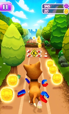 Pet Run