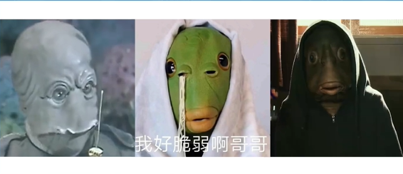 绿头鱼是什么梗