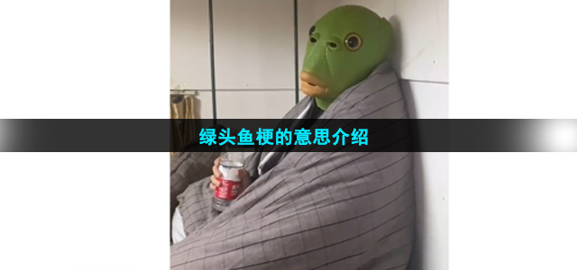 绿头鱼是什么梗(绿头鱼梗的意思介绍)