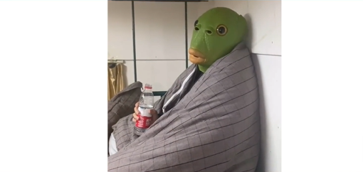 绿头鱼是什么梗