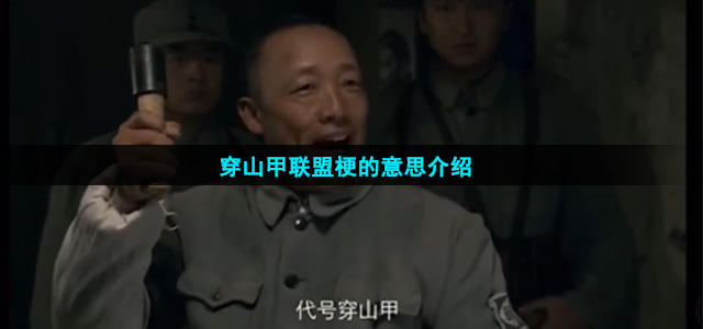 穿山甲联盟是什么梗