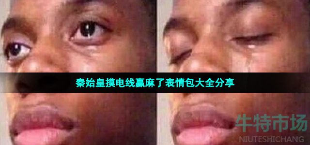 秦始皇摸电线赢麻了表情包有哪些