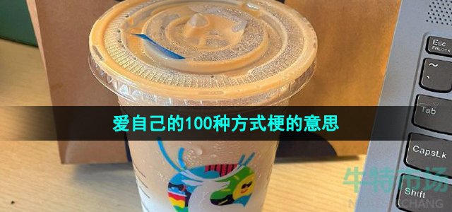 抖音爱自己的100种方式是什么梗