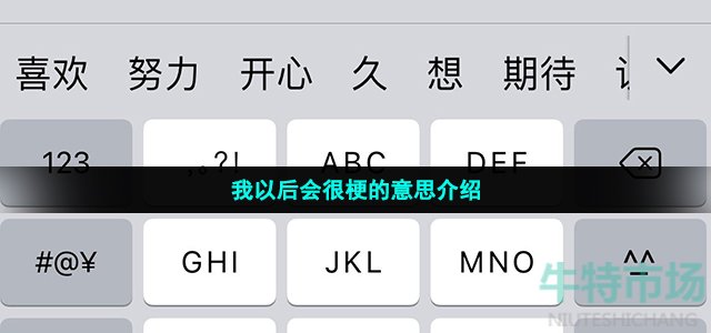 我以后会很是什么梗
