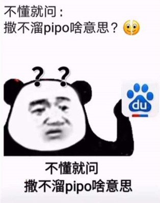 你个撒不溜pipo是什么梗
