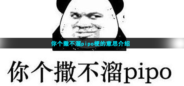 你个撒不溜pipo是什么梗
