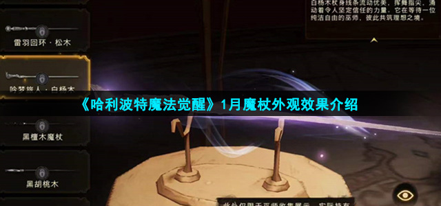 哈利波特魔法觉醒1月魔杖什么样