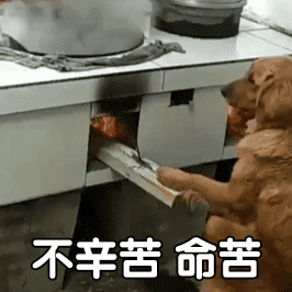 不辛苦命苦表情包有哪些