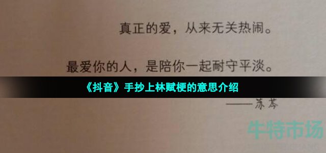 抖音手抄上林赋是什么梗