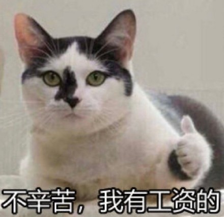 不辛苦命苦表情包有哪些