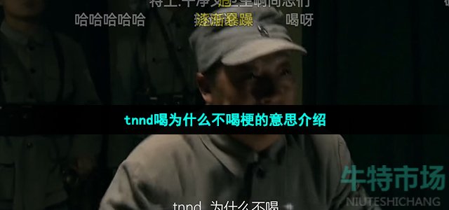 tnnd喝为什么不喝是什么梗