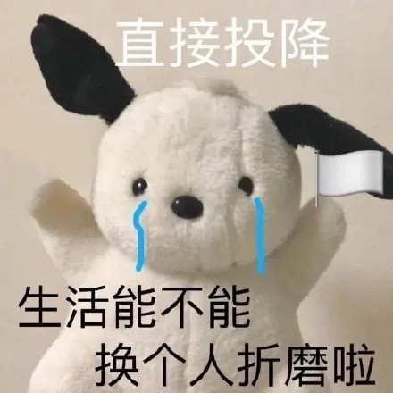 不辛苦命苦表情包有哪些