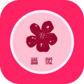 蔷薇直播免费观看版