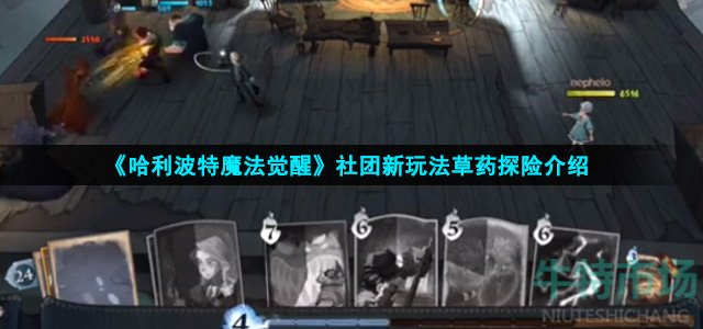 哈利波特魔法觉醒草药探险怎么玩