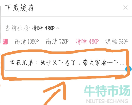 b站怎么下载视频缓存