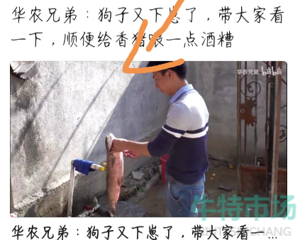 b站怎么下载视频缓存