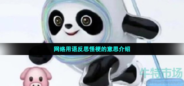 反思怪是什么意思