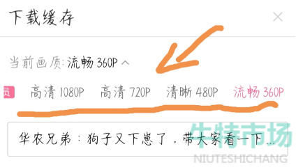 b站怎么下载视频缓存
