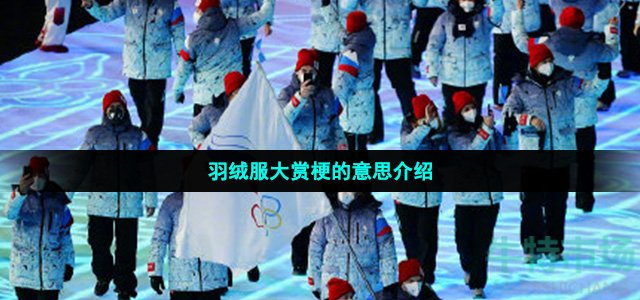 羽绒服大赏是什么梗