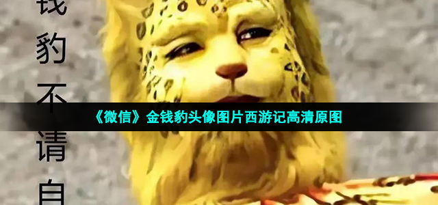 微信金钱豹头像有哪些
