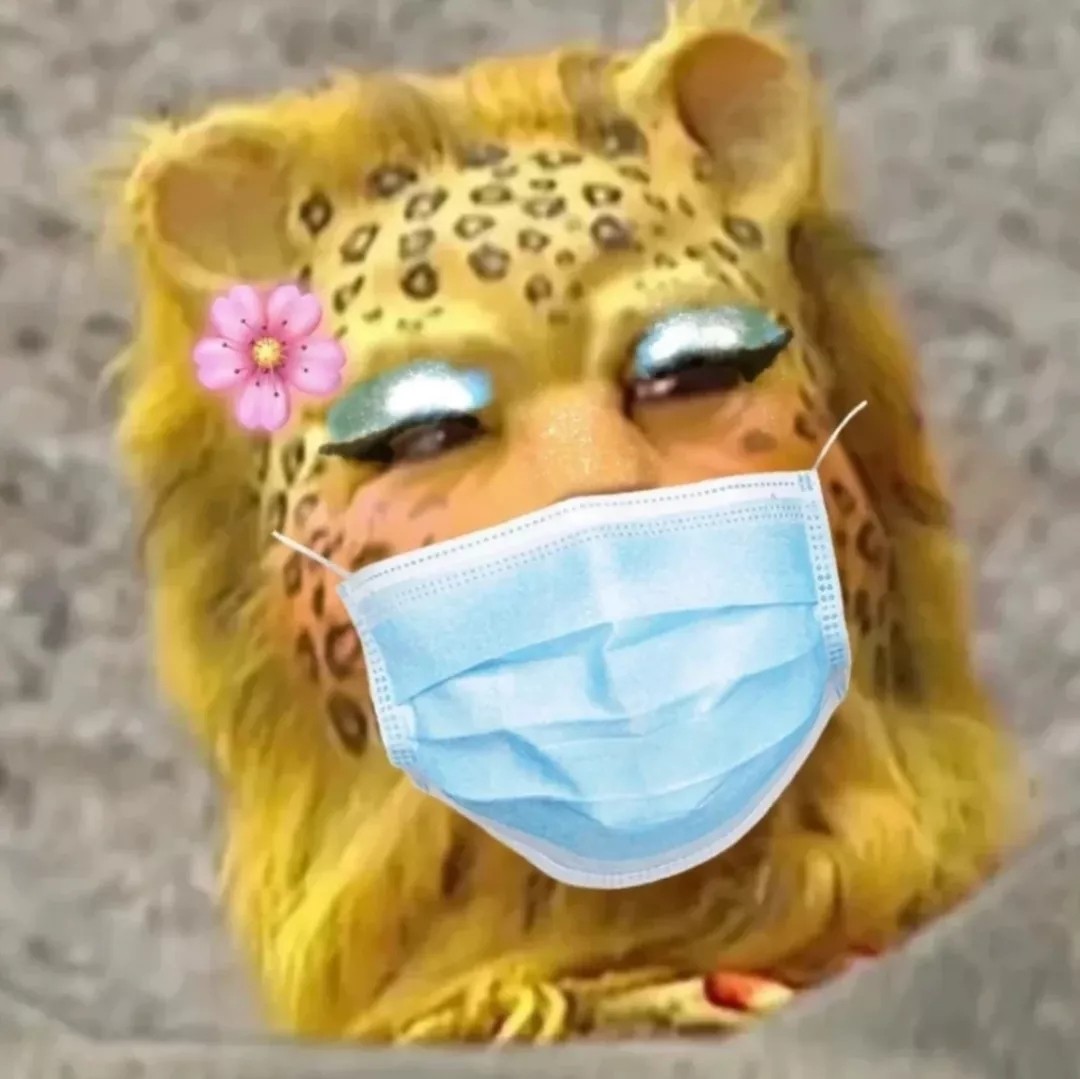 微信金钱豹头像有哪些