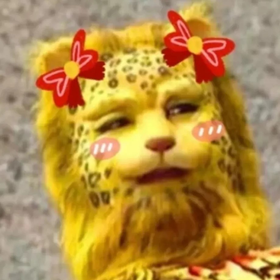 微信金钱豹头像有哪些