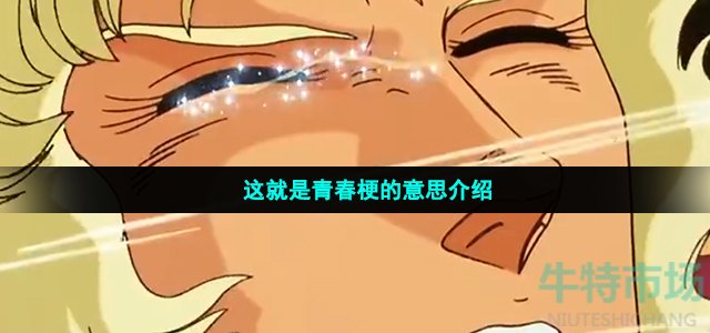 这就是青春是什么梗