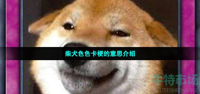 柴犬色色卡是什么梗