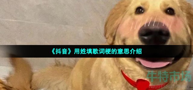用姓填歌词是什么梗