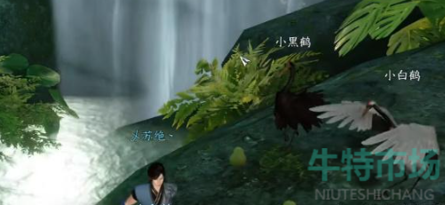 逆水寒手游绝崖鹤唳奇遇怎么做