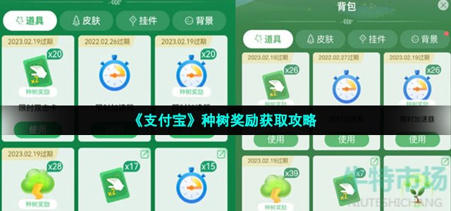 支付宝种树奖励怎么获得