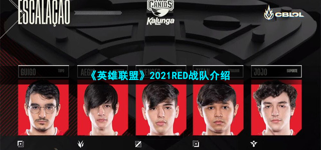 LOLS11RED战队队员