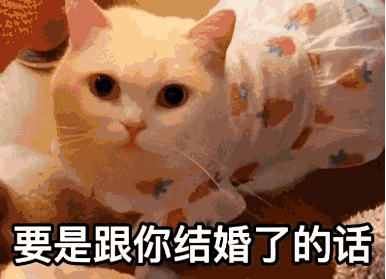 可以给我买十根烤香肠吗表情包