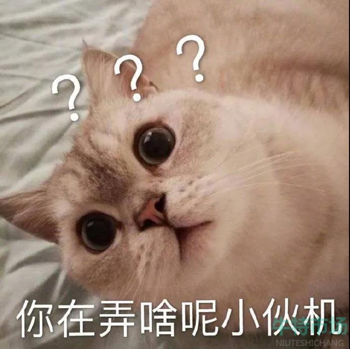 支付宝 2021年度账单在哪看