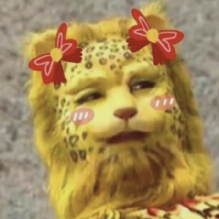 抖音金钱豹表情包有哪些